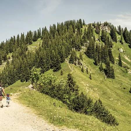 Arabella Alpenhotel Am Spitzingsee, A Tribute Portfolio ספיצינגסי